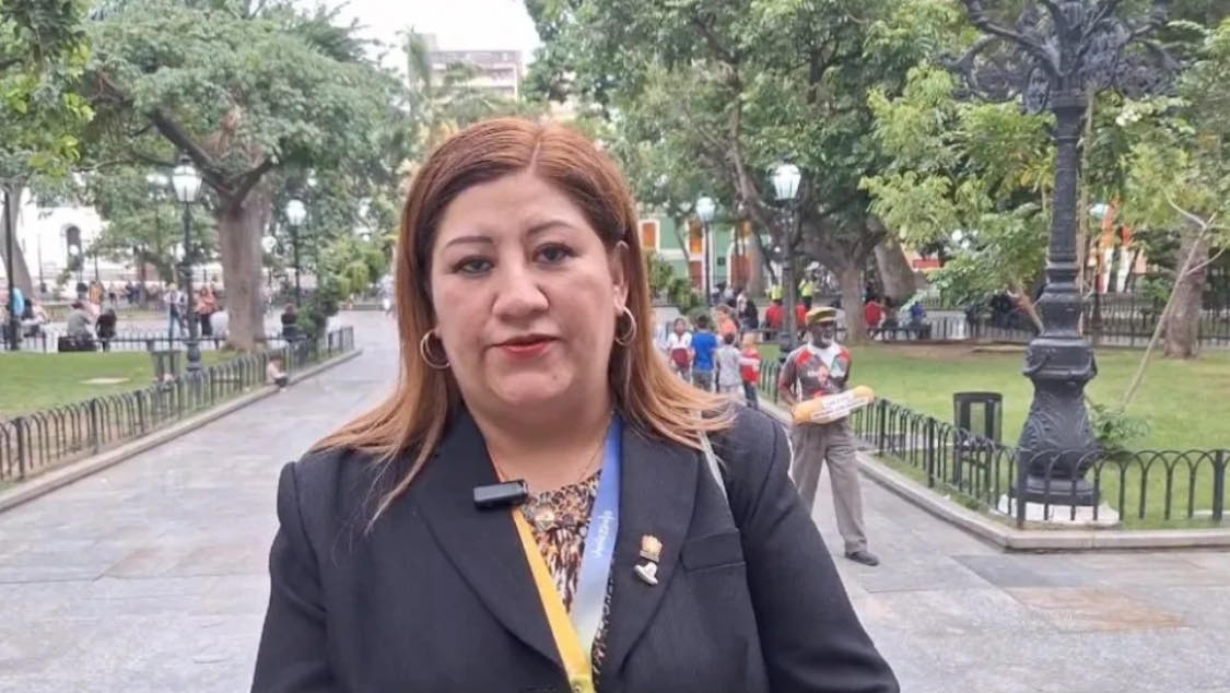 Delegación boliviana con 35 veedores para las elecciones presidenciales del próximo 28 de julio en Venezuela